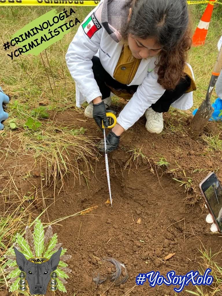 Entomología Forense